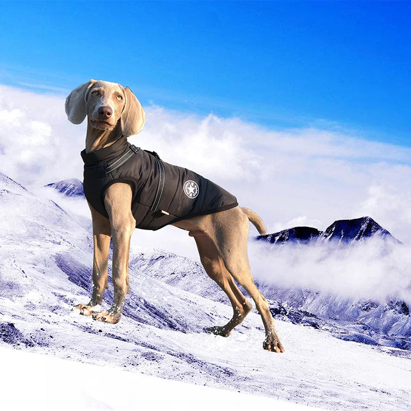 Waterproof Warm Dog Jacket Vest Winter Dog Clothes with Harness French-Bulldog Coat Pet Costume for Small Large Dogs Chihuahua
